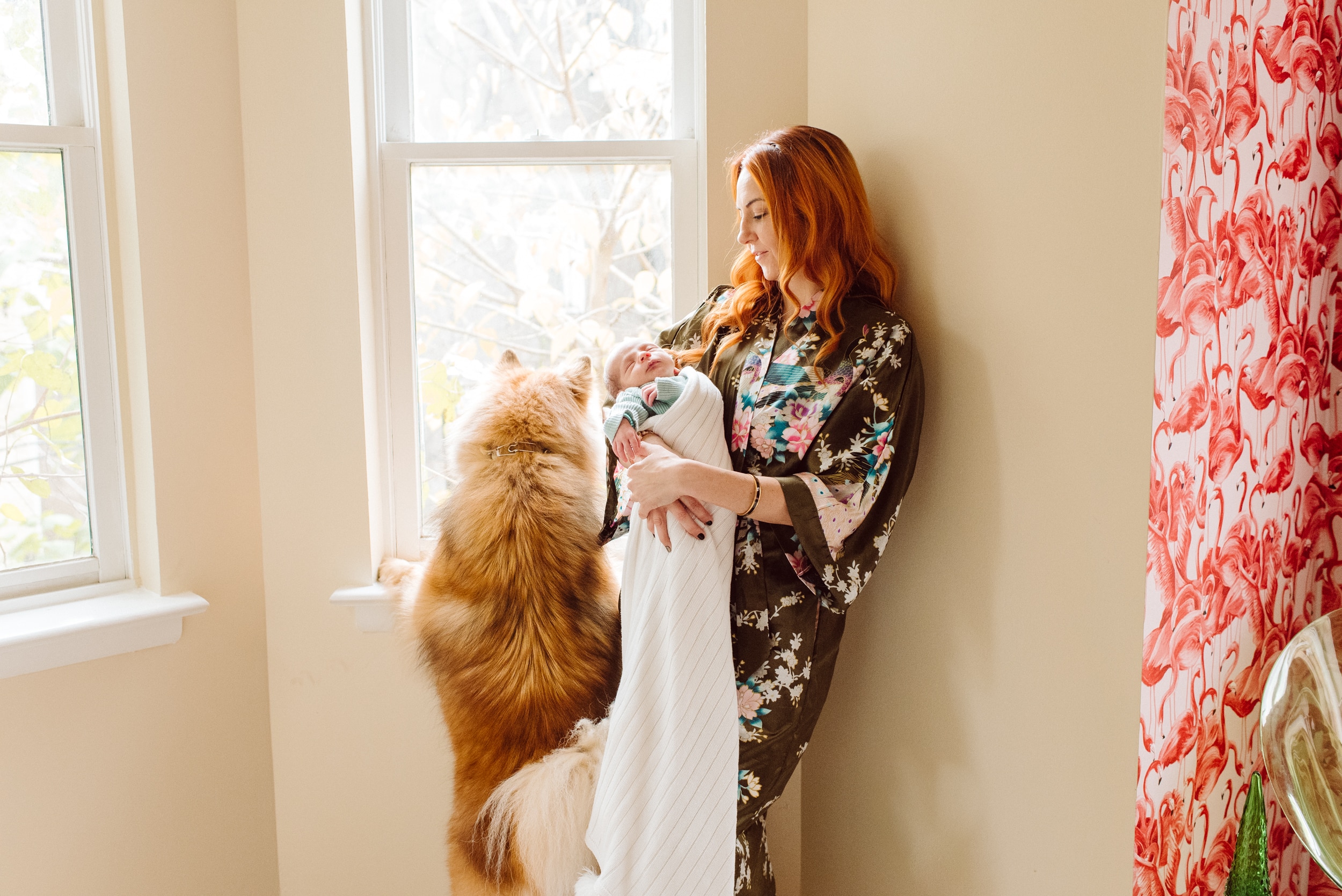 philadelphia fitler square lifestyle newborn 03