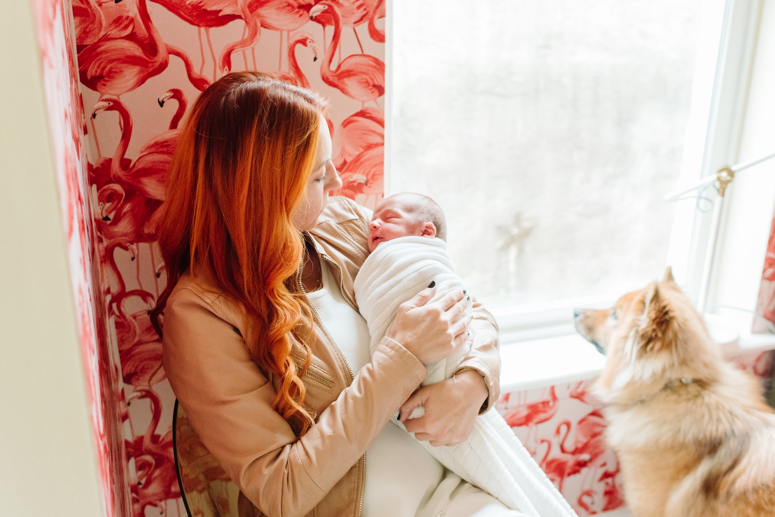 philadelphia fitler square lifestyle newborn 11
